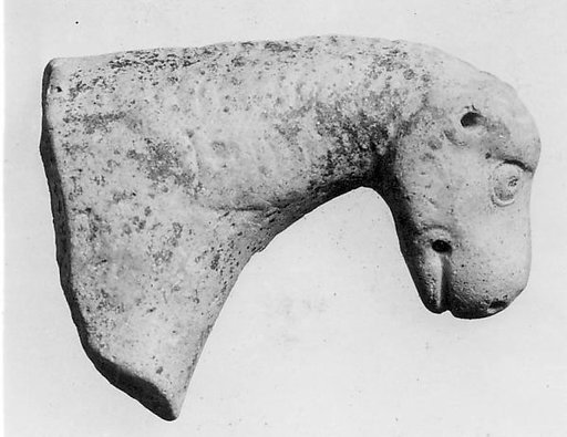 Head of a Horse