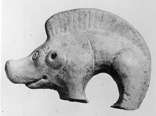 Pig