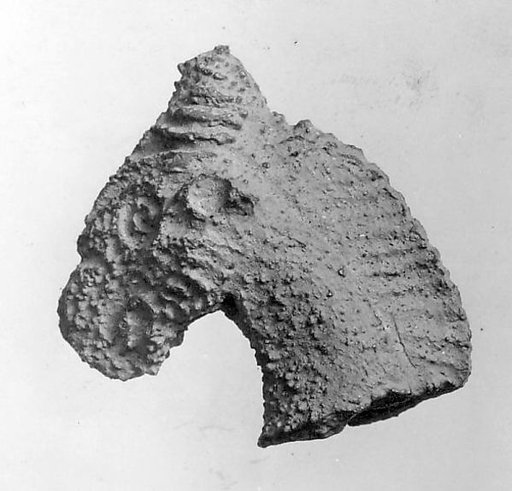 Head of Horse or Camel