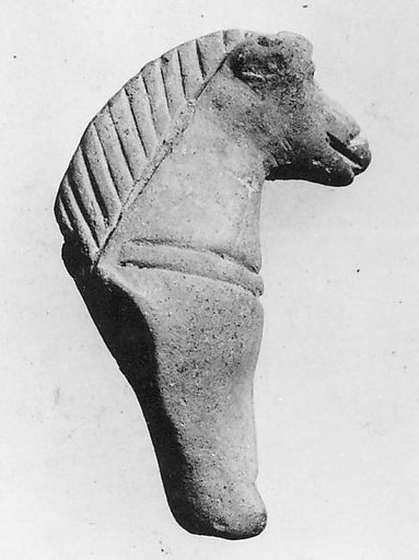 Fragment of a Horse