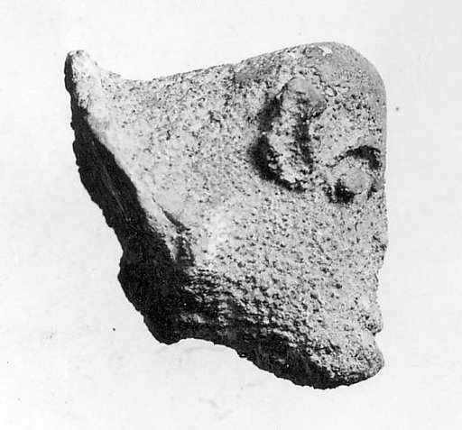 Head of Sheep(?)