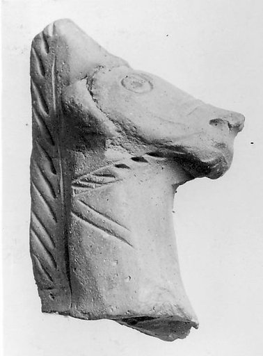 Head of a Horse