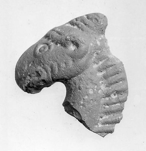 Head of a Horse or Camel