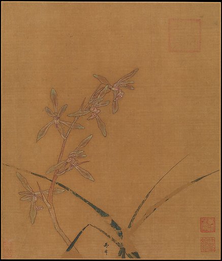 Orchids