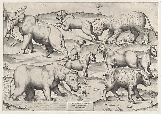 Wild Animals, from antique wall paintings, plate 2, from "Speculum Romanae Magnificentiae"