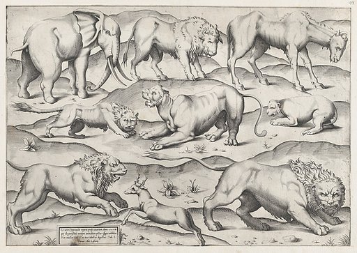 Wild Animals, from antique wall paintings, plate 1, from "Speculum Romanae Magnificentiae"