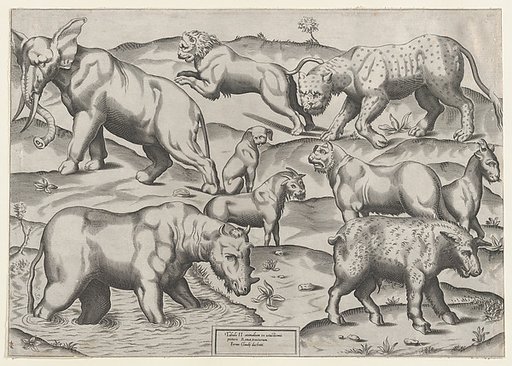 Wild Animals, from antique wall paintings, plate 2, from "Speculum Romanae Magnificentiae"