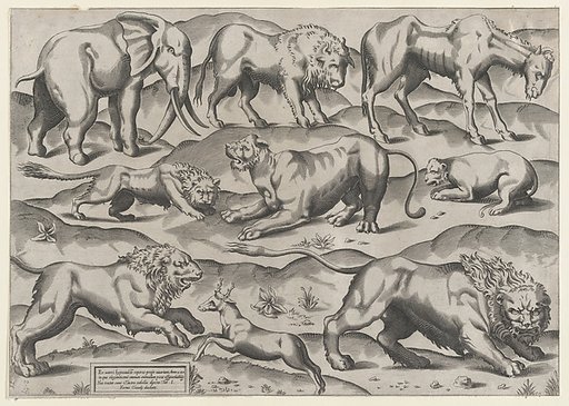 Wild Animals, from antique wall paintings, plate 1, from "Speculum Romanae Magnificentiae"
