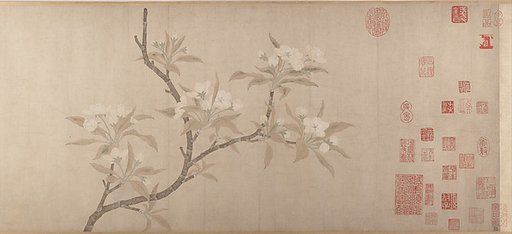Pear Blossoms