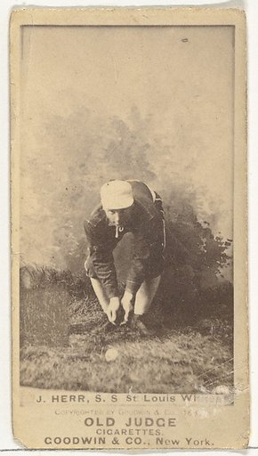Herr, Shortstop, St. Louis Whites, from the Old Judge series (N172) for Old Judge Cigarettes