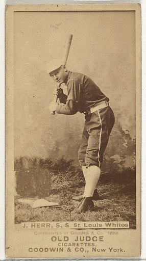 Herr, Shortstop, St. Louis Whites, from the Old Judge series (N172) for Old Judge Cigarettes