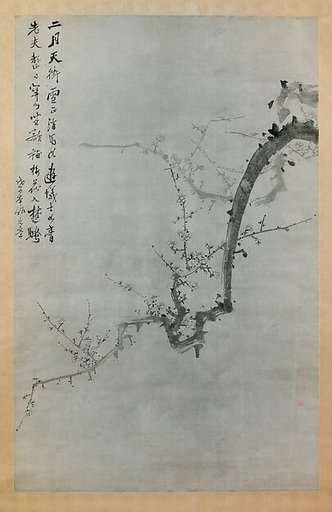 Plum Branch
