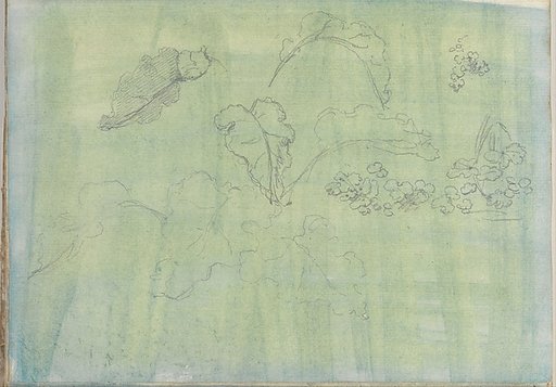 Carved panel and border ornament (recto). Sketches of leaves (verso) (Smaller Italian sketchbook, leaf 21)