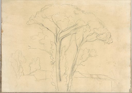 Umbrella pines and buildings, at Rome (Smaller Italian sketchbook, leaf 26 recto)