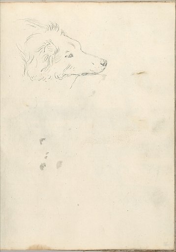 Head of a dog (Smaller Italian sketchbook, leaf 35 recto)
