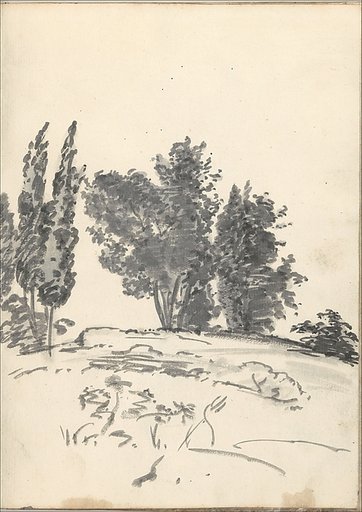 Trees, bushes and vegetation (Smaller Italian sketchbook, leaf 40 recto)