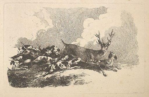 Hounds Hunting a Stag