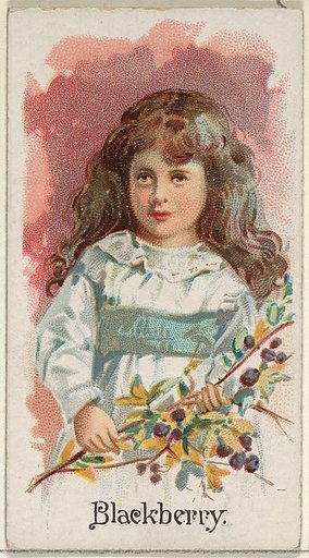 Blackberry, from the Fruits series (N12) for Allen & Ginter Cigarettes Brands