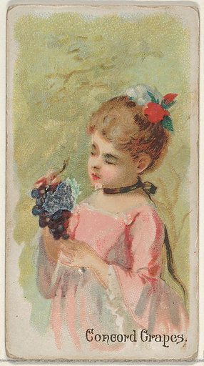 Concord Grapes, from the Fruits series (N12) for Allen & Ginter Cigarettes Brands