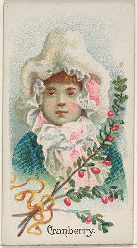Cranberry, from the Fruits series (N12) for Allen & Ginter Cigarettes Brands