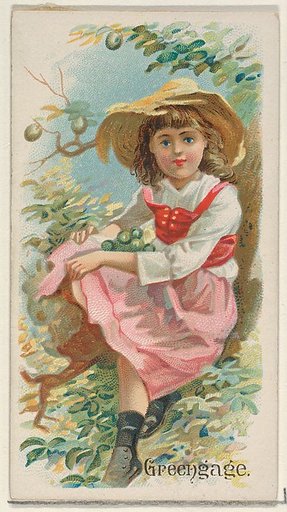 Greengage, from the Fruits series (N12) for Allen & Ginter Cigarettes Brands