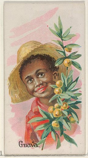 Guava, from the Fruits series (N12) for Allen & Ginter Cigarettes Brands