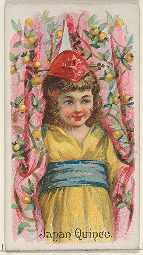 Japan Quince, from the Fruits series (N12) for Allen & Ginter Cigarettes Brands