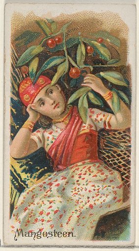 Mangosteen, from the Fruits series (N12) for Allen & Ginter Cigarettes Brands