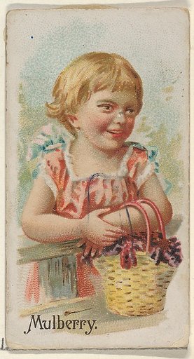 Mulberry, from the Fruits series (N12) for Allen & Ginter Cigarettes Brands