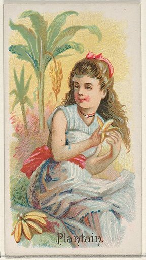 Plantain, from the Fruits series (N12) for Allen & Ginter Cigarettes Brands