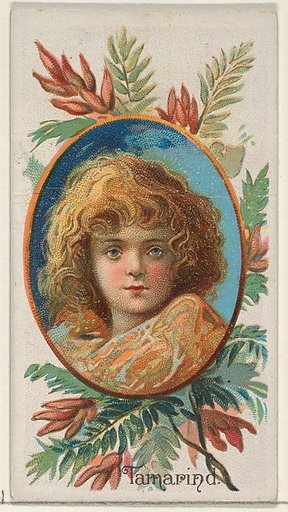 Tamarind, from the Fruits series (N12) for Allen & Ginter Cigarettes Brands