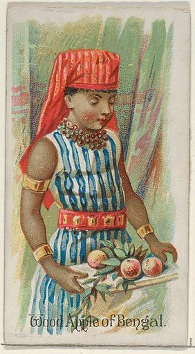 Wood Apple of Bengal, from the Fruits series (N12) for Allen & Ginter Cigarettes Brands