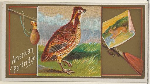 American Partridge, from the Game Birds series (N13) for Allen & Ginter Cigarettes Brands