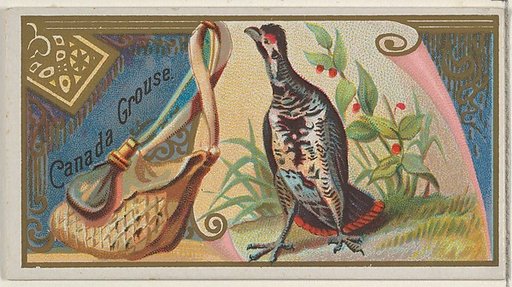 Canada Grouse, from the Game Birds series (N13) for Allen & Ginter Cigarettes Brands