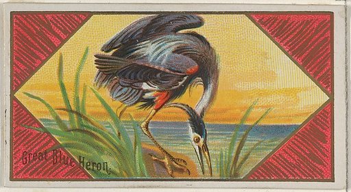 Great Blue Heron, from the Game Birds series (N13) for Allen & Ginter Cigarettes Brands