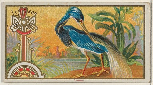 Louisiana Heron, from the Game Birds series (N13) for Allen & Ginter Cigarettes Brands