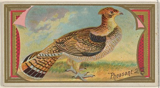 Pheasant, from the Game Birds series (N13) for Allen & Ginter Cigarettes Brands