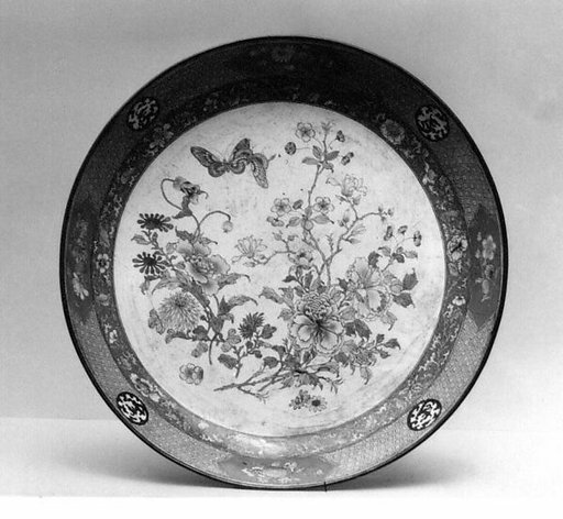 Dish