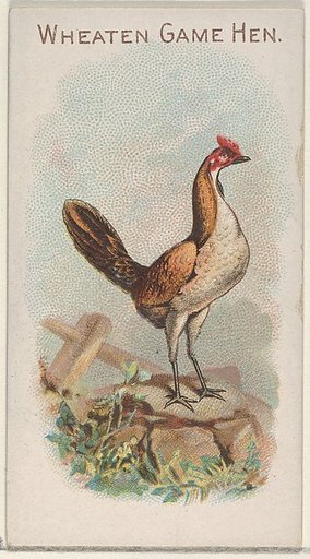 Wheaten Game Hen, from the Prize and Game Chickens series (N20) for Allen & Ginter Cigarettes