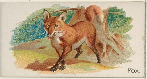 Fox, from the Quadrupeds series (N21) for Allen & Ginter Cigarettes