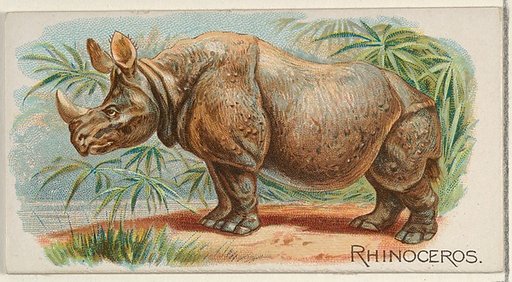 Rhinoceros, from the Quadrupeds series (N21) for Allen & Ginter Cigarettes