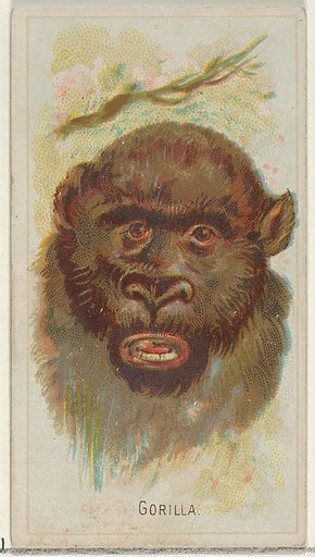Gorilla, from the Wild Animals of the World series (N25) for Allen & Ginter Cigarettes