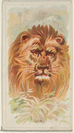 Lion, from the Wild Animals of the World series (N25) for Allen & Ginter Cigarettes