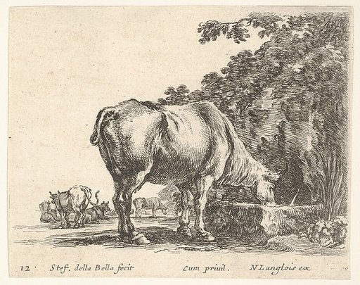 Plate 12: a cow drinking from a stone trough, other cows to left in background, from "Diversi Capricci"