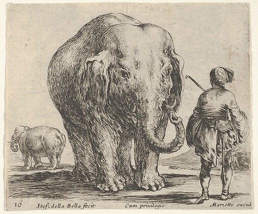 Plate 16: an elephant in center, his mahout standing to the right wearing an Oriental costume, another elephant to left in background, from "Diversi Capricci"