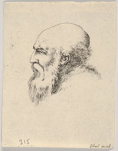 Plate 8: Head of an old bald man with a long beard, facing left in profile, from "Various heads and figures" (Diverses têtes et figures)