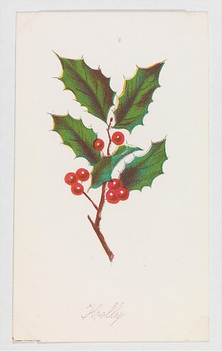 Holly, from "Autumn Leaves", Part 2