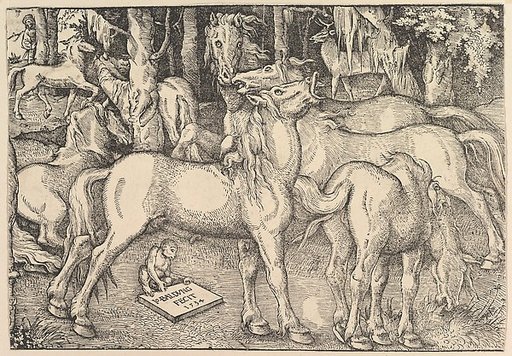 Group of Seven Horses