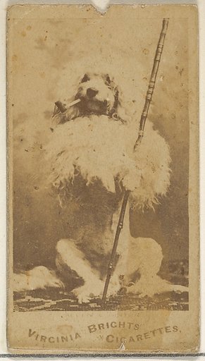 From the Dogs series (N47) for Virginia Brights Cigarettes