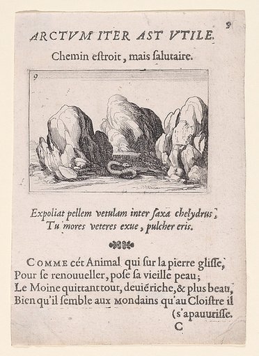 Le Serpent (The Serpent), plate 9 from "Lux Claustri ou La Lumière du Cloitre" (The Light of the Cloisters)